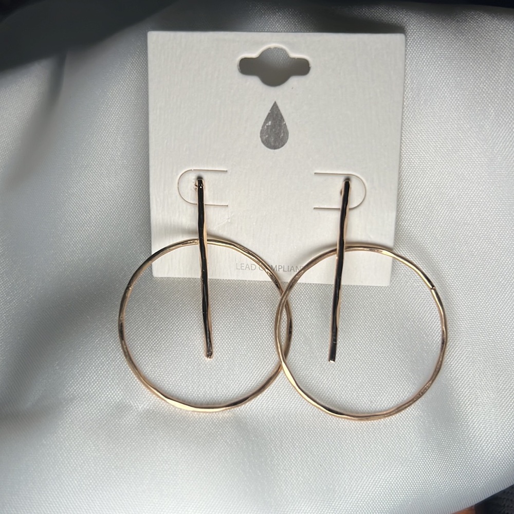 Goldtone Beatrice Hoop Earring - Picture 8 of 9